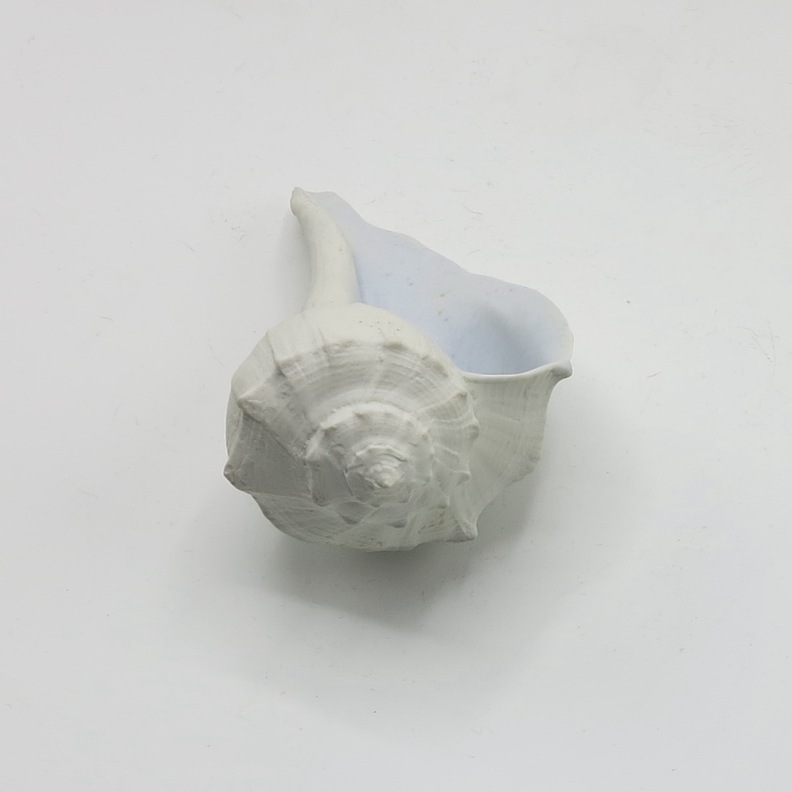Slipcast Ceramic Shell